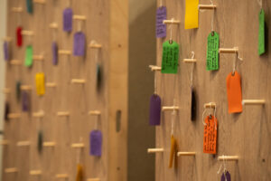 What Most People Don’t Know About Orange Curriculum